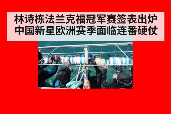 林诗栋法兰克福冠军赛签表出炉 中国新星欧洲赛季面临连番硬仗